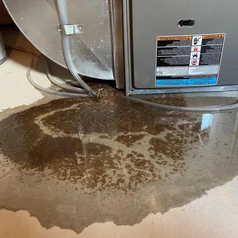 Pipe Burst and Leak Restoration in Fort Madison, IA